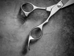 HH4 Menuki - 6.0 Inch Dry Steel Blend Detailing Shears - Ergonomic Handle