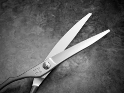 HHPL Pai Mei - 6.0 Inches - Premium Nano Powder Steel - Premium Hair Shears