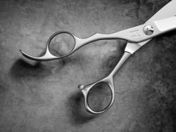 HHPL Pai Mei - 6.0 Inches - Premium Nano Powder Steel - Premium Hair Shears