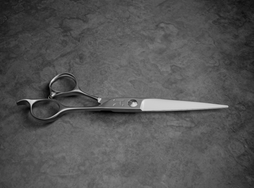 best professional shears for dry cutting