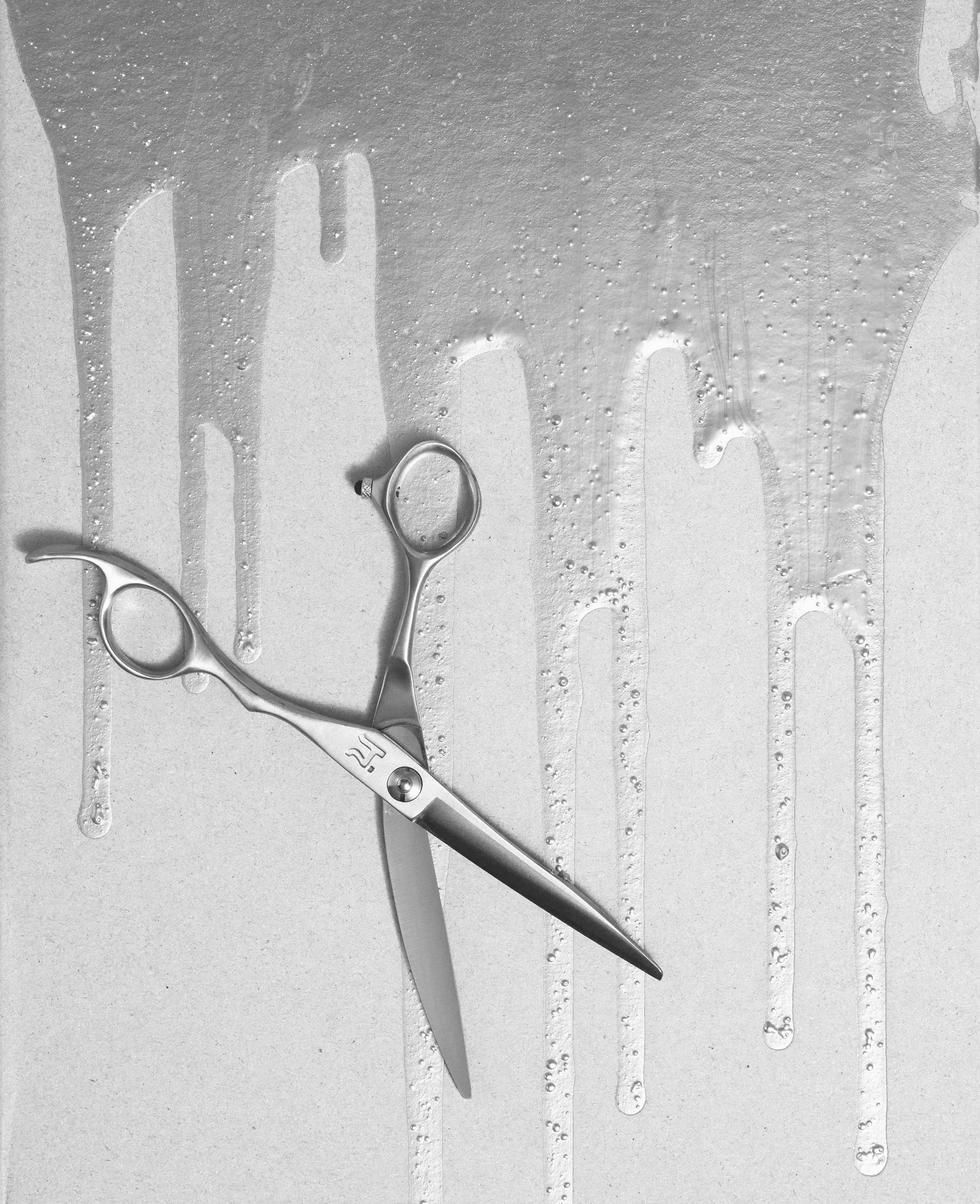 Hanzo shear on a silver backdrop